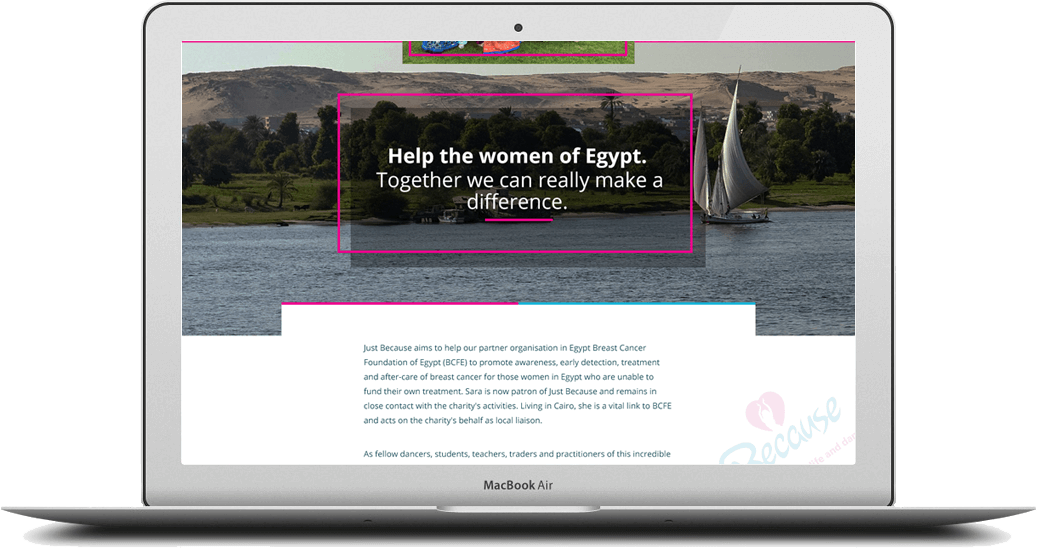 website design shropshire charity justbecausecharity.co.uk